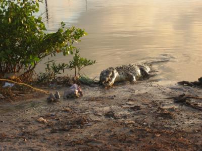 Ambergris Caye 062.jpg