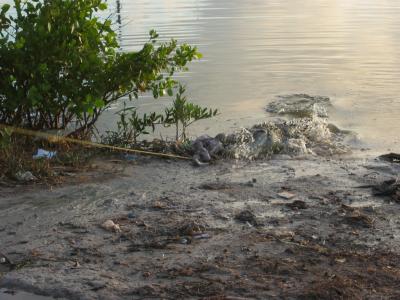 Ambergris Caye 063.jpg