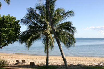 dunk patio view 3206.jpg