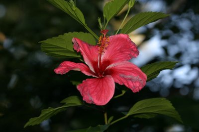 g3/82/585282/3/95796837.9Fsp5oVg.jpg