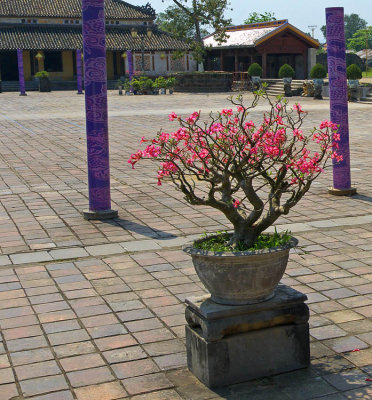 g3/82/586882/3/123595422.Kr0mkDWg.jpg