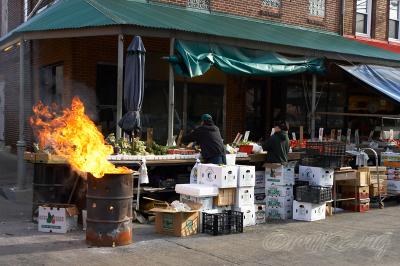 Italian Market