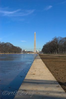From the Reflecting Pool