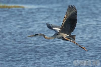 GBH in flight