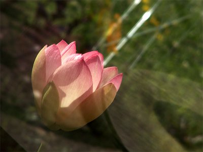 g3/82/591082/3/101286042.HbjjzfWC.jpg