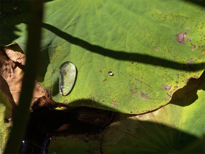 g3/82/591082/3/102905522.sVbWBiin.jpg
