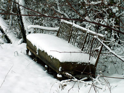 winter strikes back II 01-03-2006