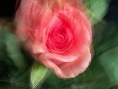 for everyone 07-04-2006