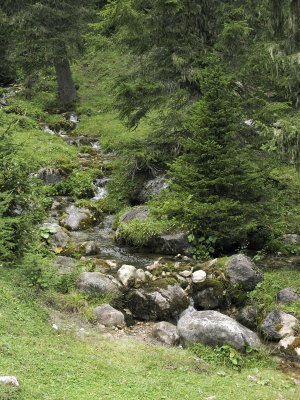 La Stua (Cortina D'Ampezzo)