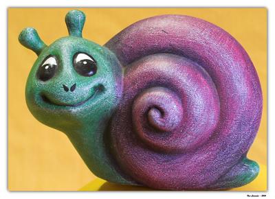 Smiling Snail