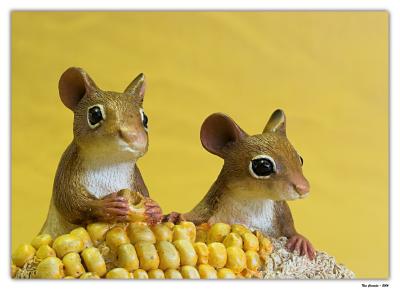 Corn Cob Mice