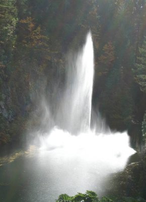 Butchart Water