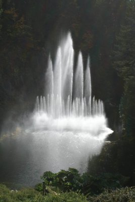 Butchart Water