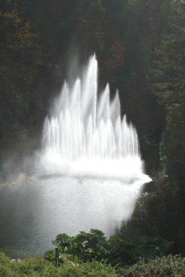 Butchart Water