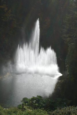 Butchart Water