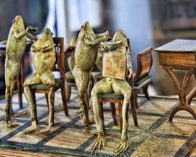 Don't tell me you had never seen a Barber's shop for frogs!