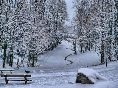 Natural monochromatic picture...