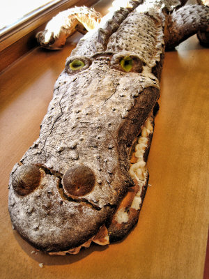 The Crocodile bread