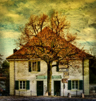 The house which knew its way,,,,