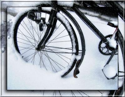 Shivering bicycle