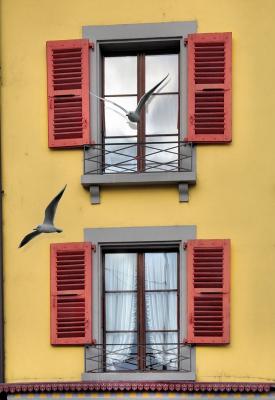 Twin windows