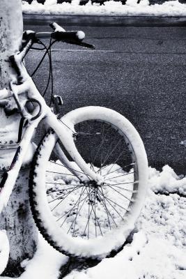 Winter bike 1