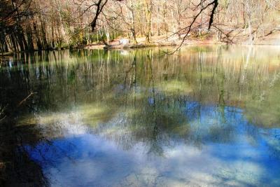 The Fairies' Pond 15