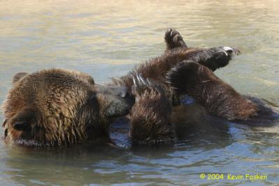 GRIZZLY BATH