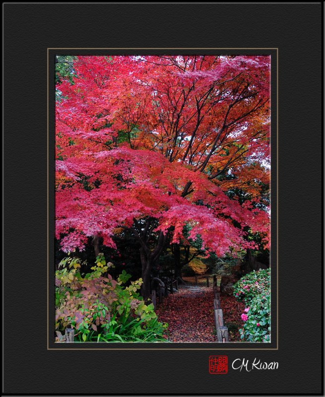 Japanese Garden