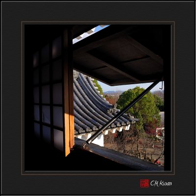 Looking out from Inuyama Castle