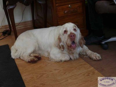 Chowder  080323 017.jpg