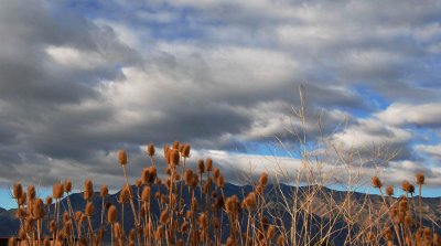  Touching the Clouds