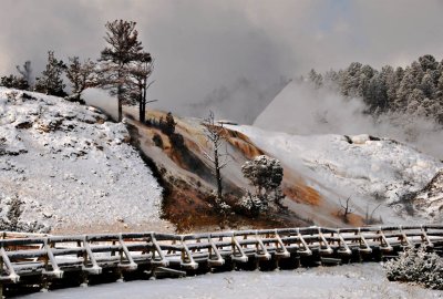Mammoth Hot Springs Terraces