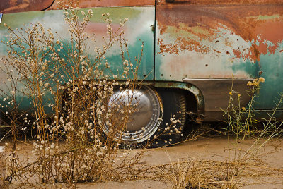 Among the Weeds