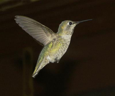 In Flight