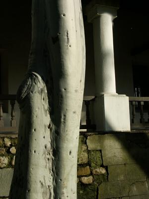 Mission San Luis Obispo:  Columns