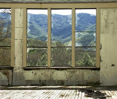 Window with a View