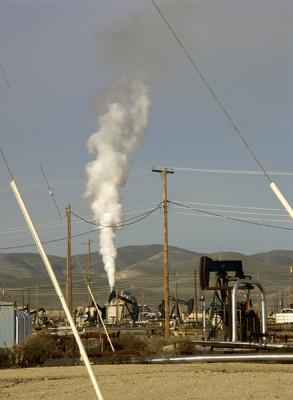 The Oil Fields are Alive