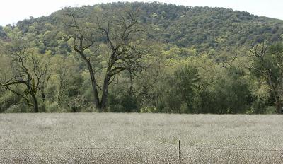 View from the Road