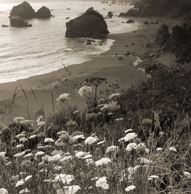 By The Sea