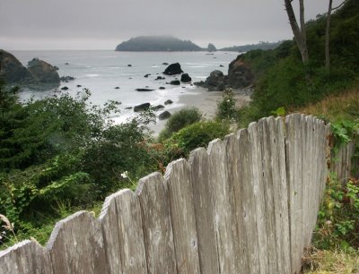 Fenced In