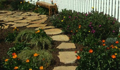 Path to Mendocino