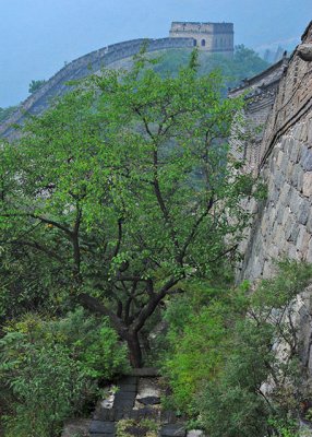 Great Wall