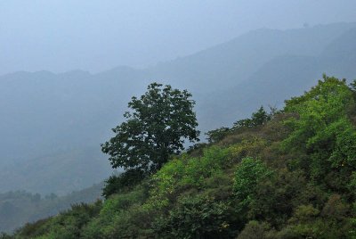 View from the Wall