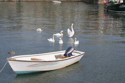 Image046.JPG