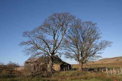 Image063.JPG