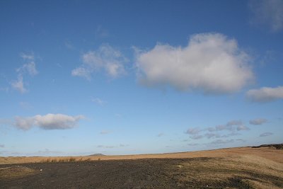 Image102.JPG