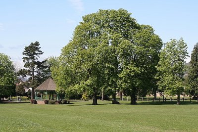 Image288.JPG