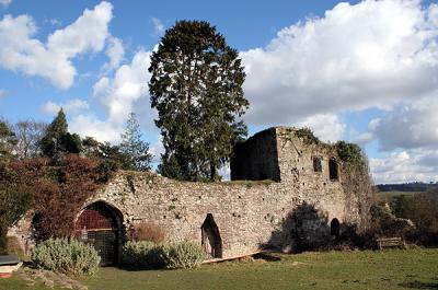 3183 USK CASTLE