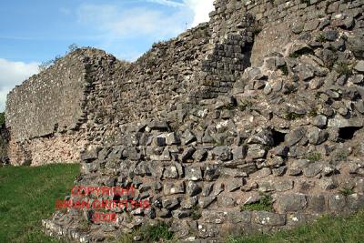 1347 CAERWENT ROMAN TOWN